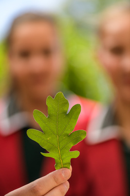 February 2020 / KILDARE_200204_436