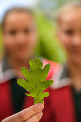 February 2020 / KILDARE_200204_437