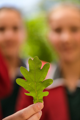 February 2020 / KILDARE_200204_438