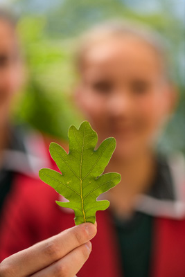 February 2020 / KILDARE_200204_441