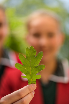February 2020 / KILDARE_200204_442