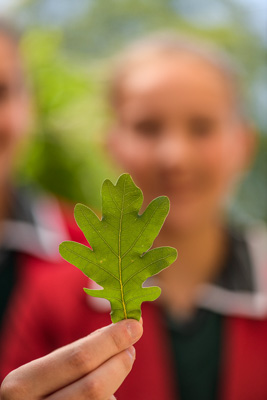 February 2020 / KILDARE_200204_443