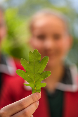 February 2020 / KILDARE_200204_444