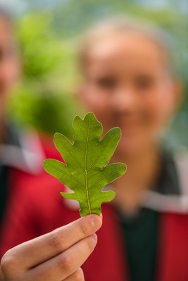 February 2020 / KILDARE_200204_445