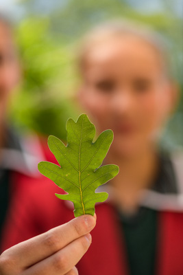 February 2020 / KILDARE_200204_446