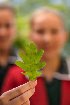 February 2020 / KILDARE_200204_448