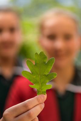 February 2020 / KILDARE_200204_450