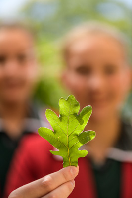 February 2020 / KILDARE_200204_451