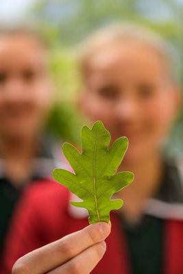 February 2020 / KILDARE_200204_453