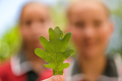 February 2020 / KILDARE_200204_454