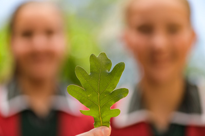February 2020 / KILDARE_200204_455