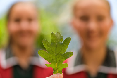 February 2020 / KILDARE_200204_456