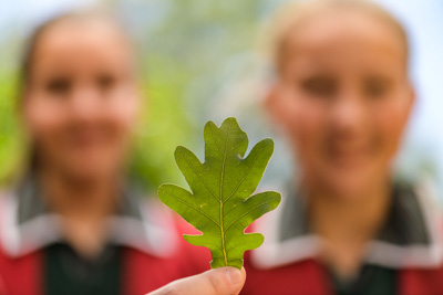 February 2020 / KILDARE_200204_457