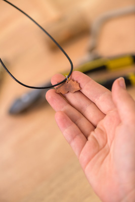 February 2020 / KILDARE_200204_530