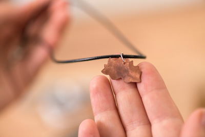 February 2020 / KILDARE_200204_532