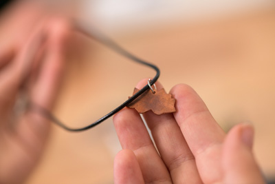 February 2020 / KILDARE_200204_534