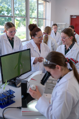 February 2020 / KILDARE_200204_610