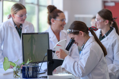 February 2020 / KILDARE_200204_624