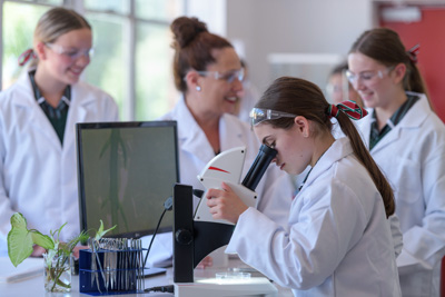 February 2020 / KILDARE_200204_626