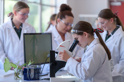 February 2020 / KILDARE_200204_627