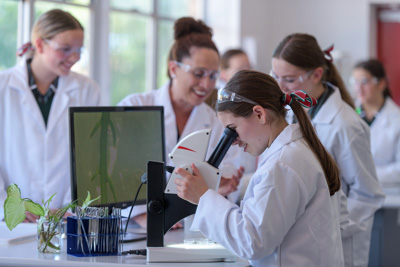 February 2020 / KILDARE_200204_632