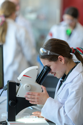 February 2020 / KILDARE_200204_665