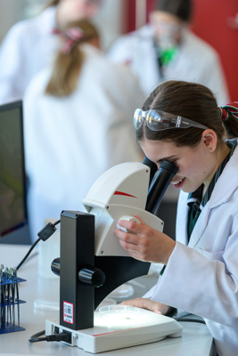 February 2020 / KILDARE_200204_666