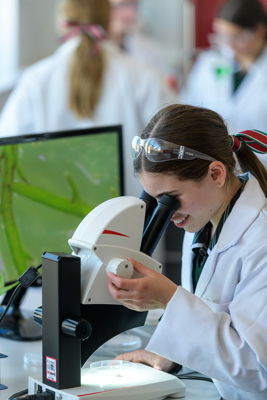 February 2020 / KILDARE_200204_667