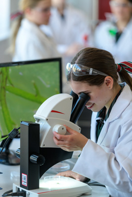 February 2020 / KILDARE_200204_668