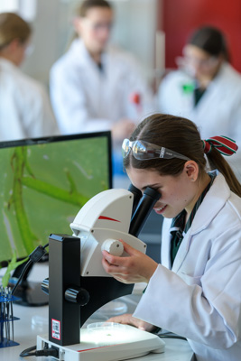 February 2020 / KILDARE_200204_669