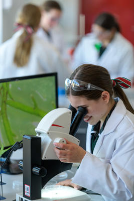 February 2020 / KILDARE_200204_671