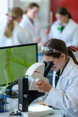 February 2020 / KILDARE_200204_672