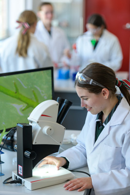 February 2020 / KILDARE_200204_676