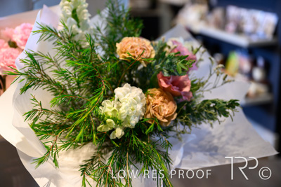 April 2022 / CENT_PARK_220407_017