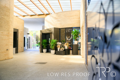 April 2022 / CENT_PARK_220407_133