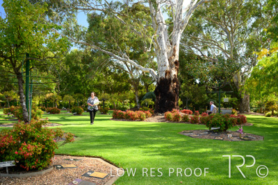 April 2022 / CENT_PARK_220407_134