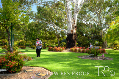 April 2022 / CENT_PARK_220407_137