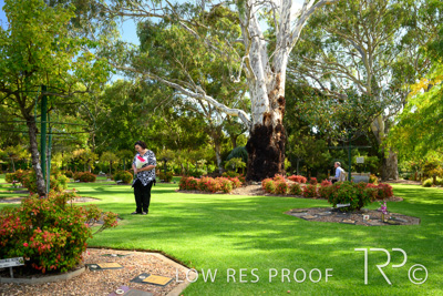 April 2022 / CENT_PARK_220407_138