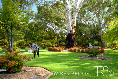 April 2022 / CENT_PARK_220407_139