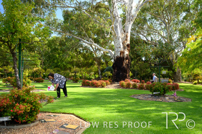 April 2022 / CENT_PARK_220407_140