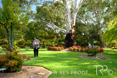 April 2022 / CENT_PARK_220407_141