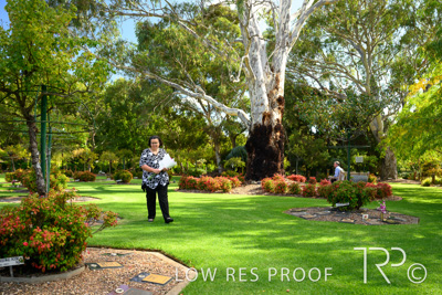 April 2022 / CENT_PARK_220407_142