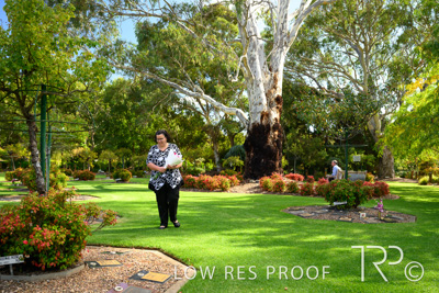 April 2022 / CENT_PARK_220407_143