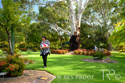 April 2022 / CENT_PARK_220407_144