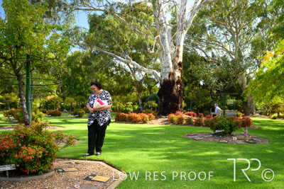 April 2022 / CENT_PARK_220407_147