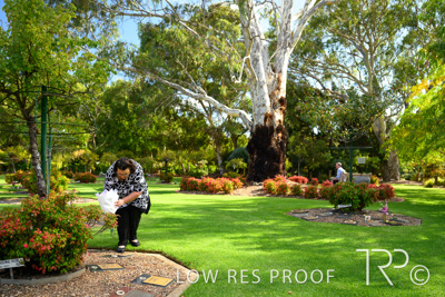 April 2022 / CENT_PARK_220407_148