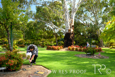 April 2022 / CENT_PARK_220407_149