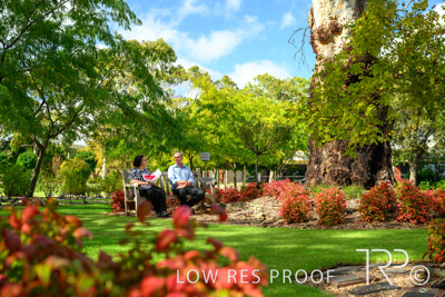 April 2022 / CENT_PARK_220407_157