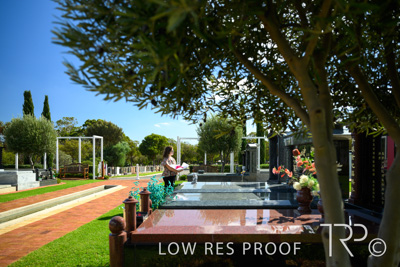 April 2022 / CENT_PARK_220407_179