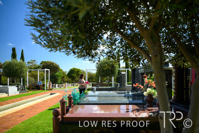 April 2022 / CENT_PARK_220407_185